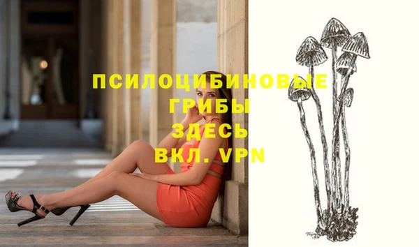 соль курить ск Кинешма