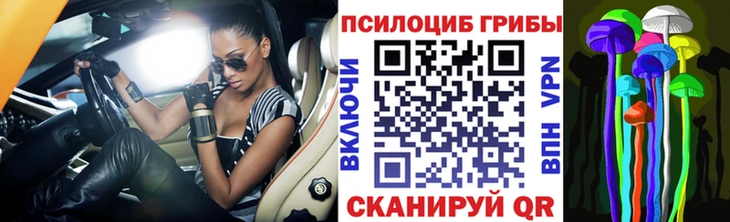 Галлюциногенные грибы GOLDEN TEACHER где продают Ильский